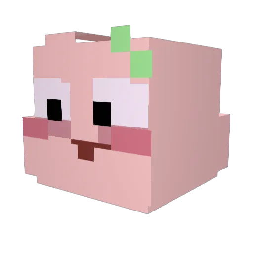 MikkelNimboo_ Minecraft avatar head, 3D render
