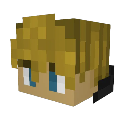 MikkelT_ Minecraft avatar head, 3D render