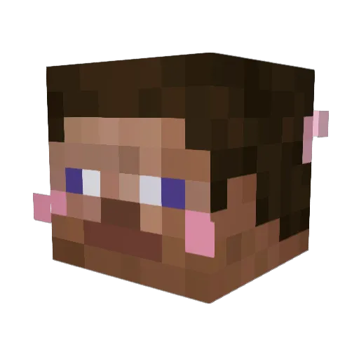 Mikkel_Plays Minecraft avatar head, 3D render