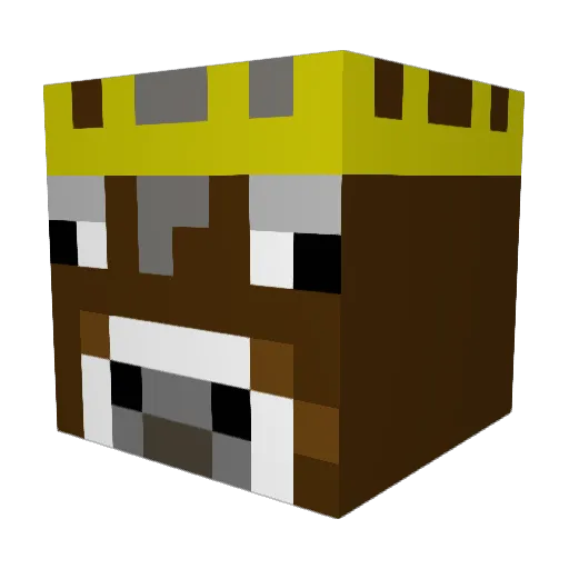 Mikkel_gv Minecraft avatar head, 3D render