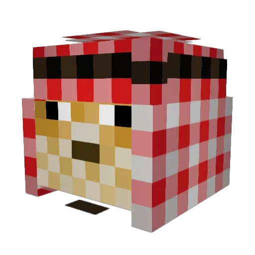 Mikki526 Minecraft avatar head, 3D render