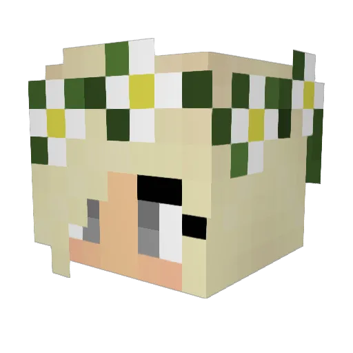 Mikky935 Minecraft avatar head, 3D render