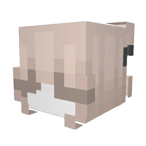 Miko801 Minecraft avatar head, 3D render