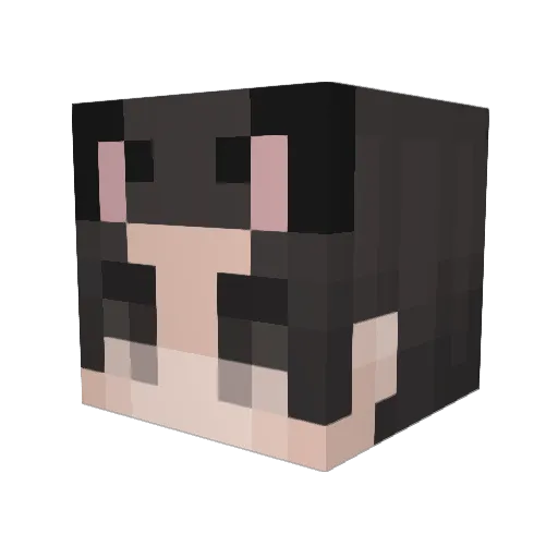 Mikodamn Minecraft avatar head, 3D render