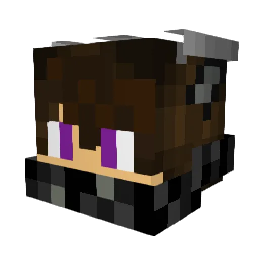 Mikolaj_draw Minecraft avatar head, 3D render