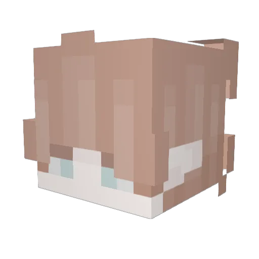 Mikolan4ik Minecraft avatar head, 3D render