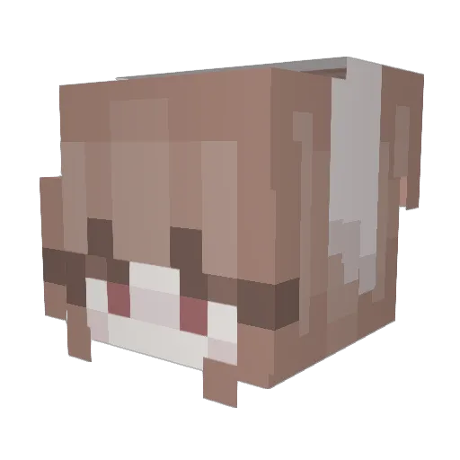 Mikomar14 Minecraft avatar head, 3D render