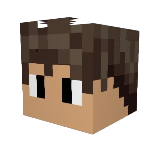 Miks1539 Minecraft avatar head, 3D render