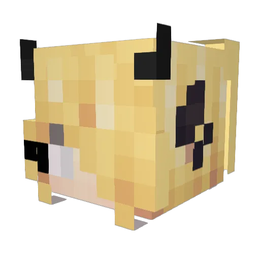 Miku0402 Minecraft avatar head, 3D render