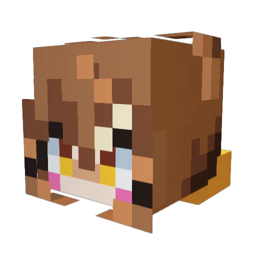 MikuBean Minecraft avatar head, 3D render