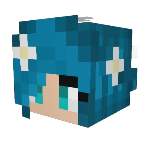 MikuDid911 Minecraft avatar head, 3D render
