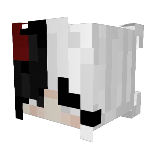 Milaaa617 Minecraft avatar head, 3D render