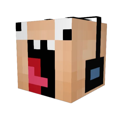 Mildhat150 Minecraft avatar head, 3D render