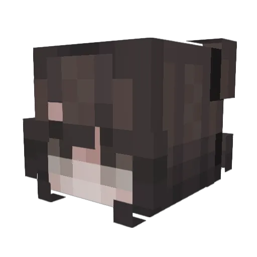 MilenaLA Minecraft avatar head, 3D render