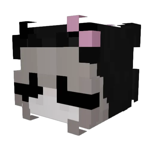 Milenka14 Minecraft avatar head, 3D render