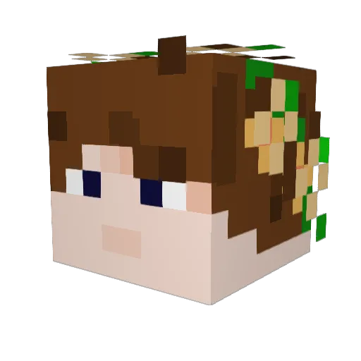 MilesIsntHopeful Minecraft avatar head, 3D render