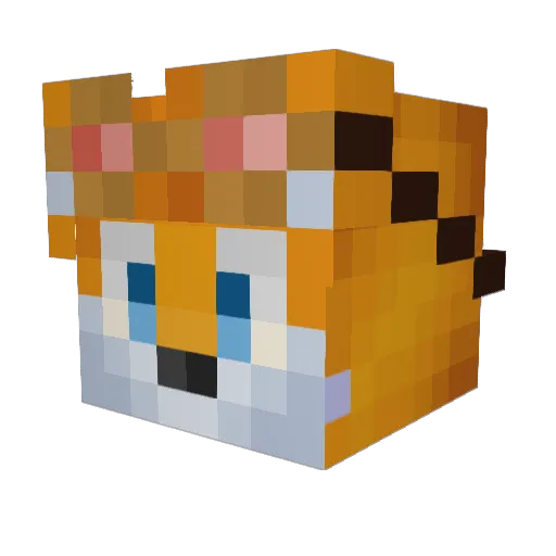MilesTails101 Minecraft avatar head, 3D render