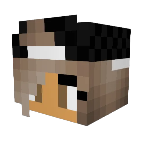 Mili07 Minecraft avatar head, 3D render