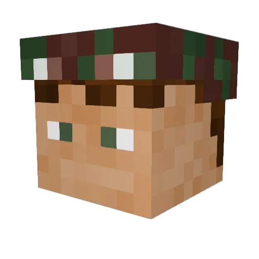 Milights Minecraft avatar head, 3D render
