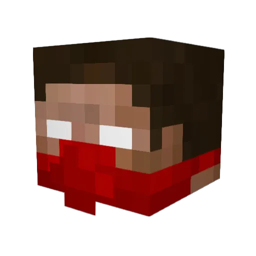 MilitaerStandard Minecraft avatar head, 3D render