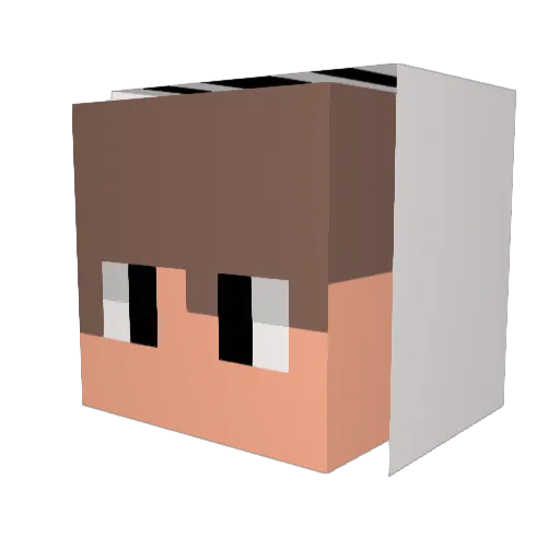 Milk8586 Minecraft avatar head, 3D render