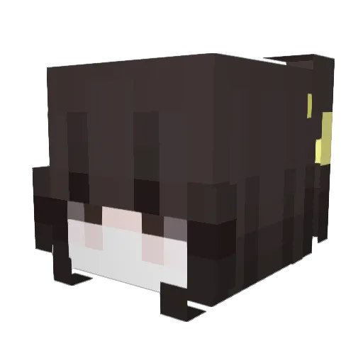 MilkyNoob Minecraft avatar head, 3D render