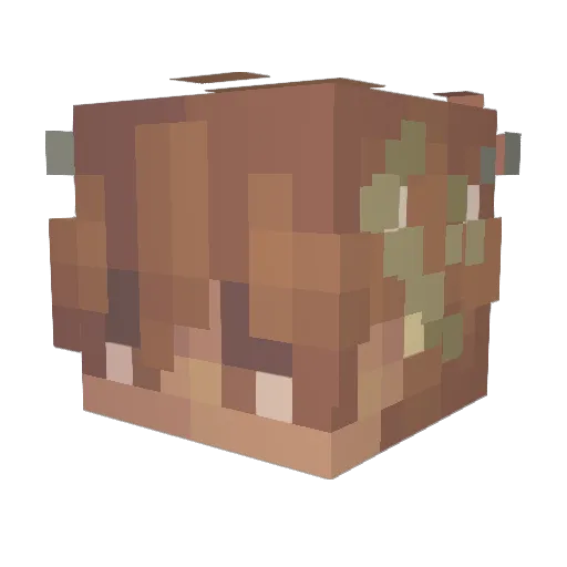 MilkyWayPoet Minecraft avatar head, 3D render