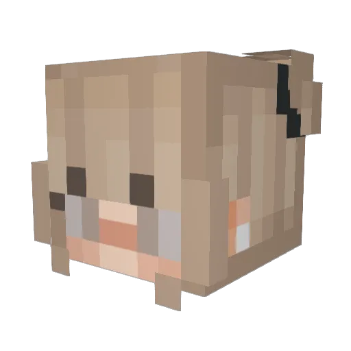 Milky_Way_06 Minecraft avatar head, 3D render