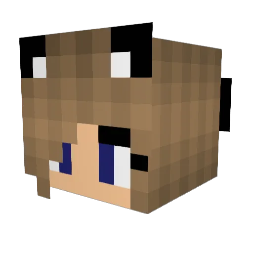 Mille626 Minecraft avatar head, 3D render