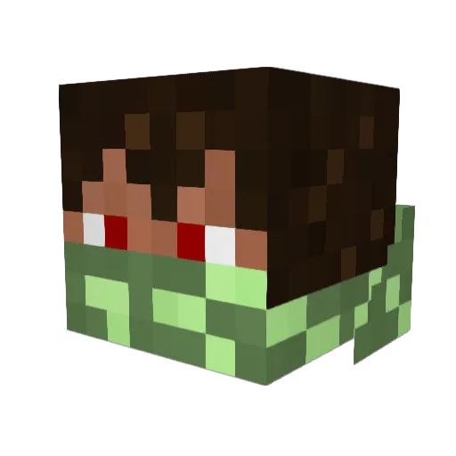 MillerBoyz1210 Minecraft avatar head, 3D render