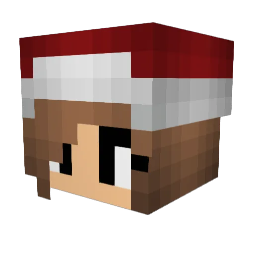 Milli_brn Minecraft avatar head, 3D render