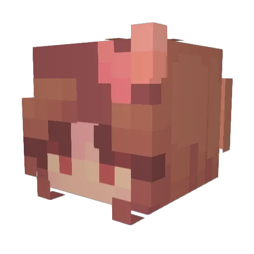 Millie4848 Minecraft avatar head, 3D render