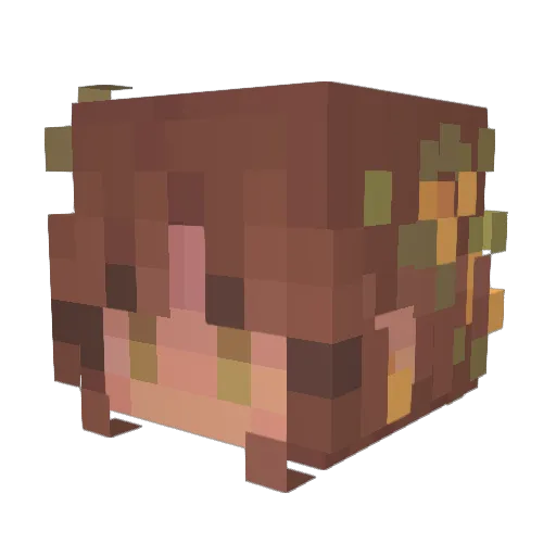 MillieRoze Minecraft avatar head, 3D render