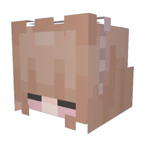 Millings Minecraft avatar head, 3D render