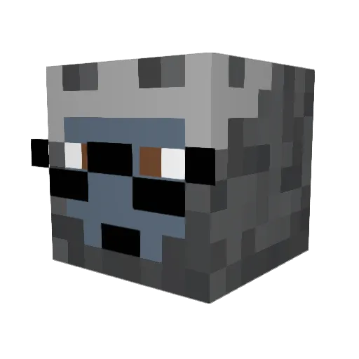 MillionAtom1491 Minecraft avatar head, 3D render