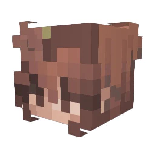 Millsmae Minecraft avatar head, 3D render