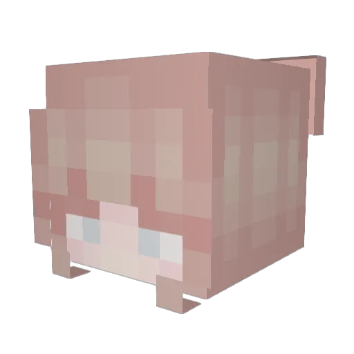MillyJuice Minecraft avatar head, 3D render