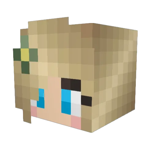 Millz1805 Minecraft avatar head, 3D render