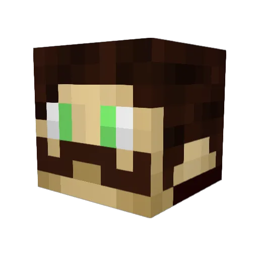 MilmoPI Minecraft avatar head, 3D render