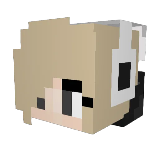 Milo341 Minecraft avatar head, 3D render