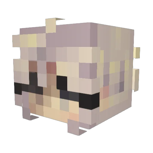 Miloslyra Minecraft avatar head, 3D render