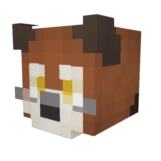 MimberyEarth Minecraft avatar head, 3D render