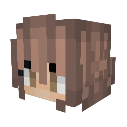 Mimi2048 Minecraft avatar head, 3D render
