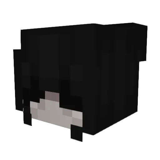 Mimi27o Minecraft avatar head, 3D render