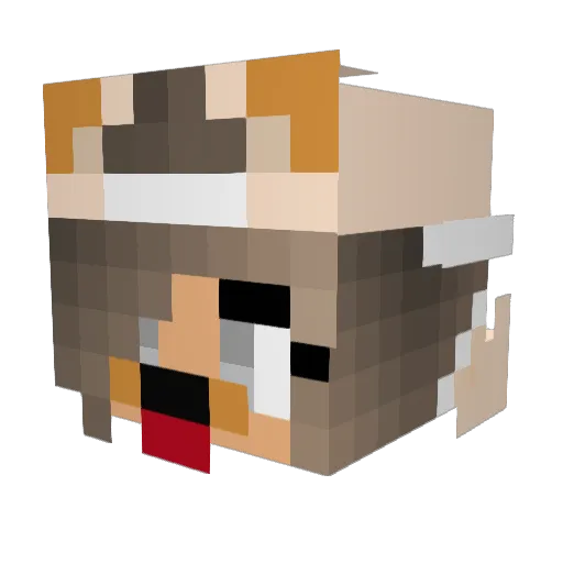 Mimi514 Minecraft avatar head, 3D render