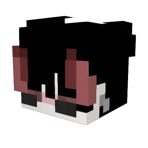 Mimi9487 Minecraft avatar head, 3D render