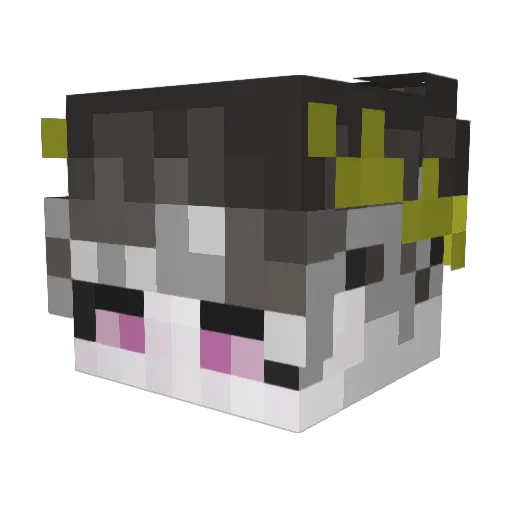 Mimialey10290 Minecraft avatar head, 3D render