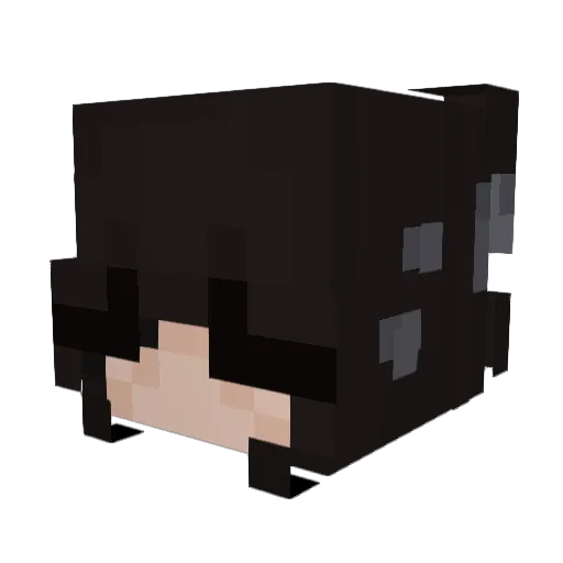 Mimih06 Minecraft avatar head, 3D render