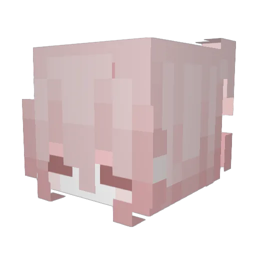 Mimiic_i Minecraft avatar head, 3D render
