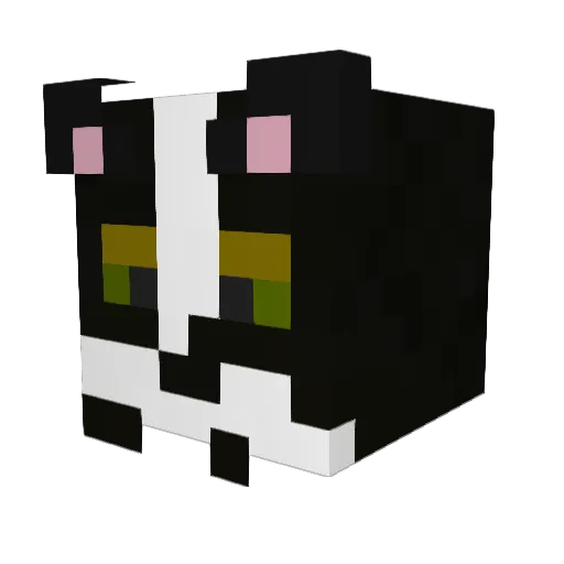 Mimiru57 Minecraft avatar head, 3D render